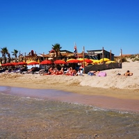 Photo de france - La plage de la Roquille et le Mango's Beach Bar